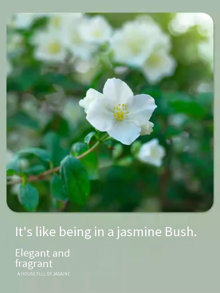 2026 New Arrival Car-Specific Jasmine Perfume, Premium Car Aromatherapy Ornament with Long-Lasting Fragrance, Odor Eliminator for Vehicle