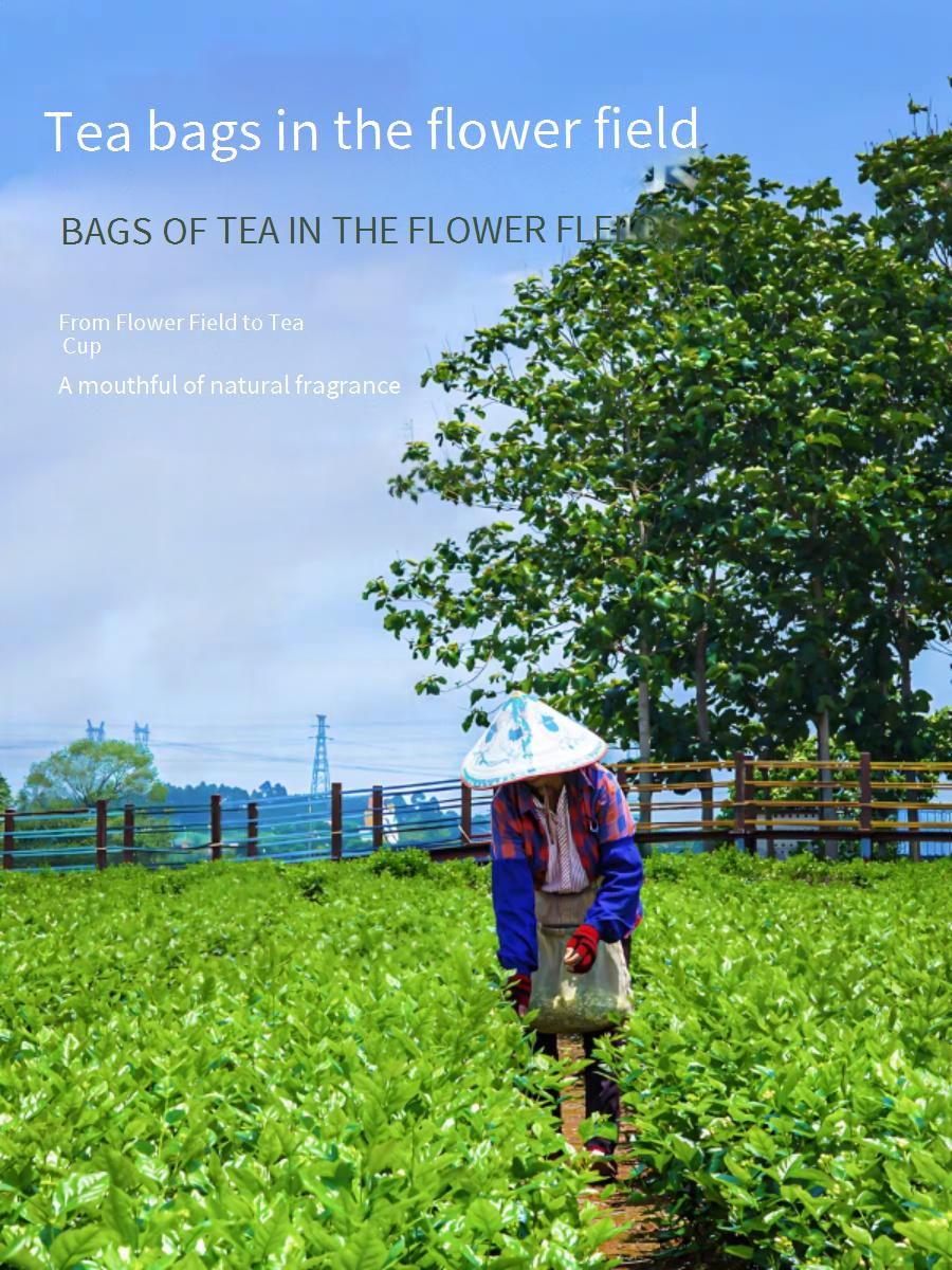 Jasmine Oolong Tea Bags