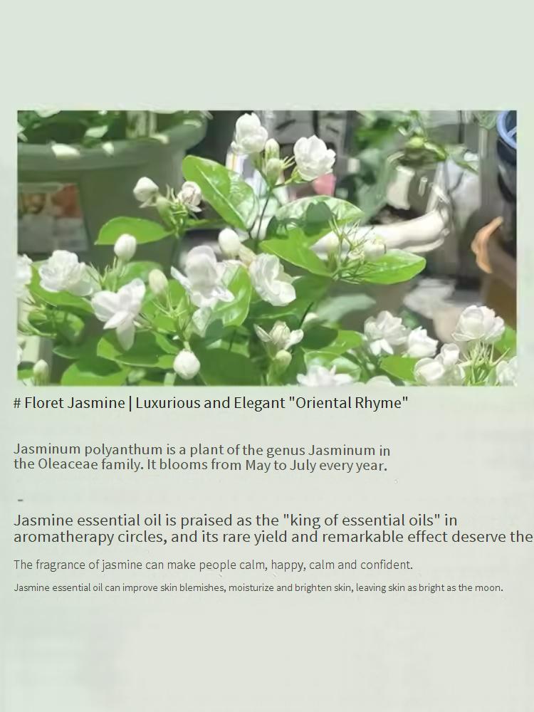 Natural Small Jasmine Flower Essential Oil, Full Body Massage for Meridian Unblocking & Body Detoxification