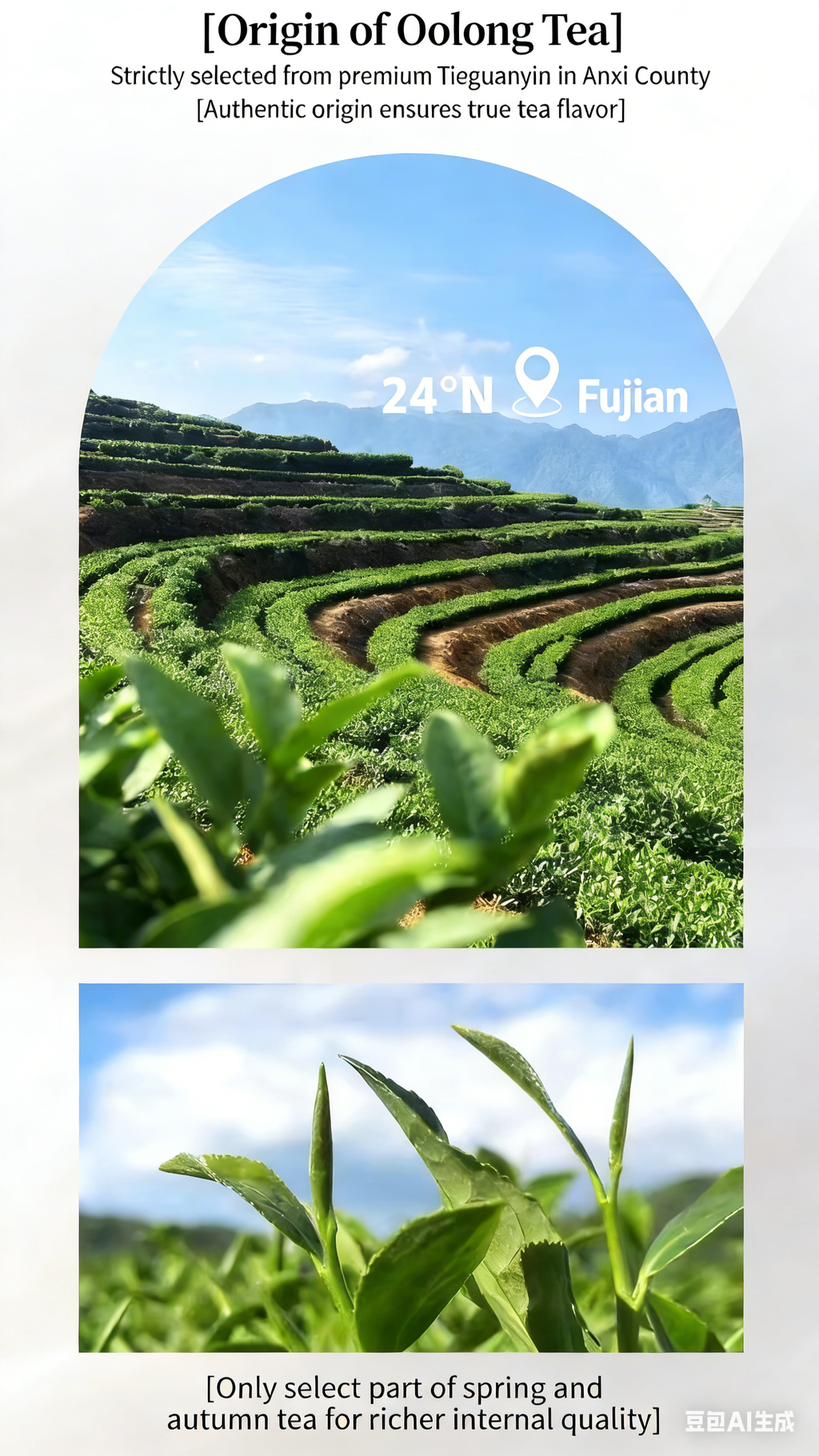 Jasmine Green Tea Oolong Cold Brew Tea, Premium Jasmine Tieguanyin, Fresh Aroma Cold Brew Beverage, Authentic Orchid Fragrance, Rich Flavor